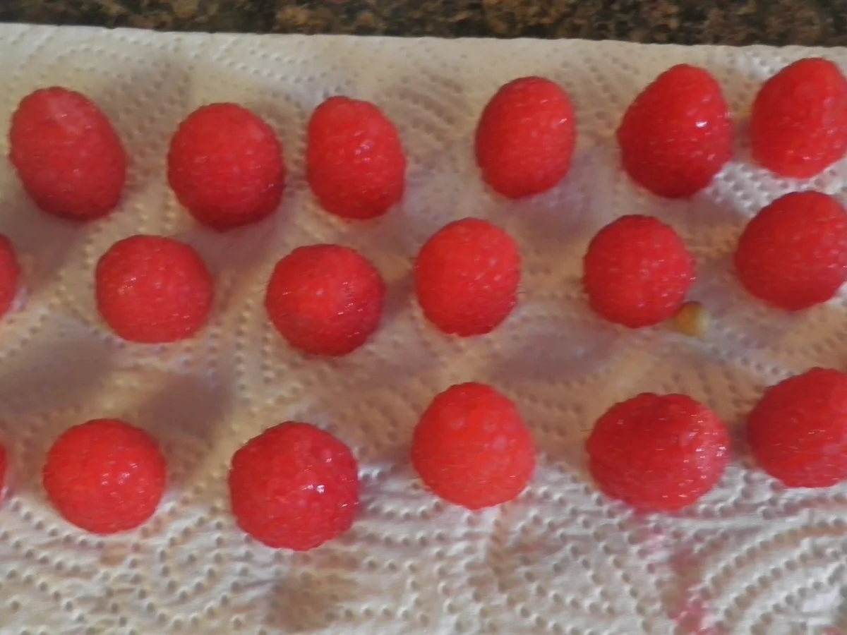 Mini - Schokoladen - Tarte mit Himbeeren ... - Rezept - Bild Nr. 105