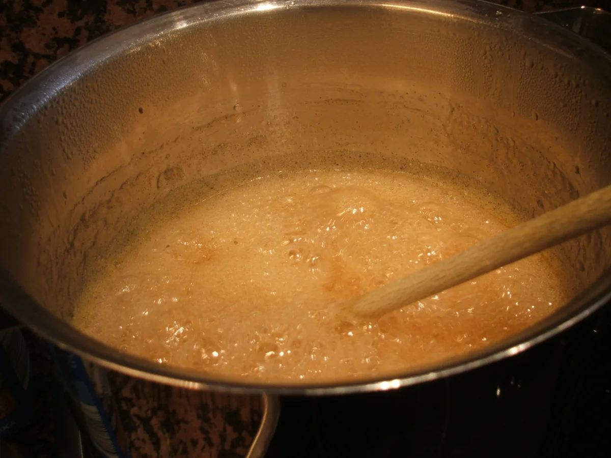 Vorrat: Mispelgelee und Mispelsirup - Rezept - Bild Nr. 97