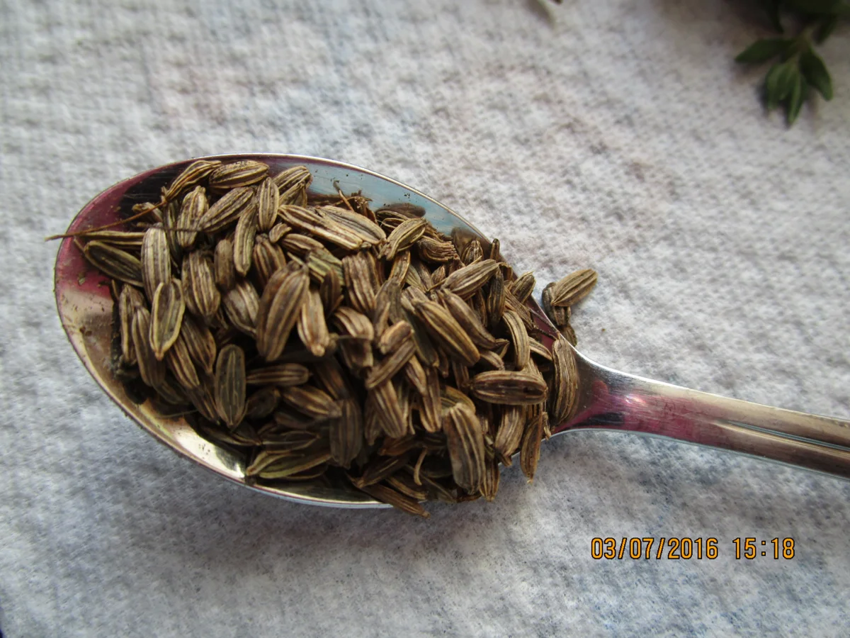 Burgundersauce zu Tafelspitz - Rezept - Bild Nr. 106