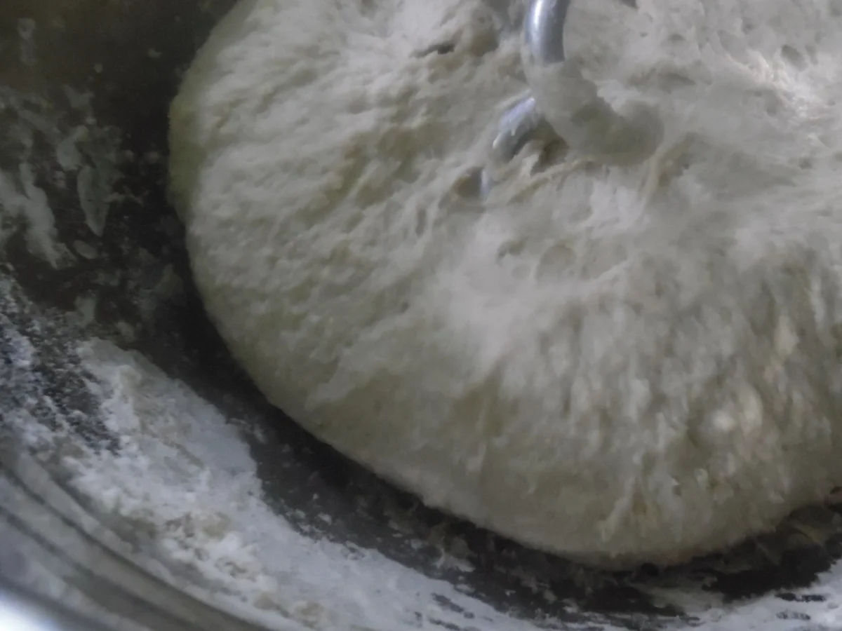 Kartoffelbrötchen - Rezept - Bild Nr. 105