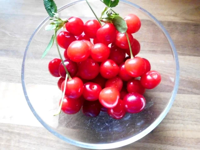 kirsch-muffins - Rezept - Bild Nr. 126