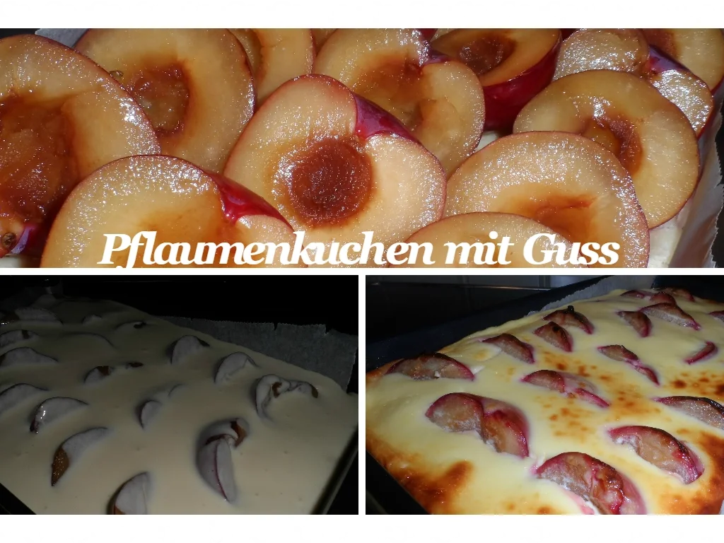 BiNe` S PFLAUMENKUCHEN MIT GUSS - Rezept - Bild Nr. 107