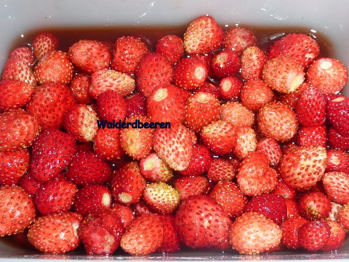 Holunderblüten Sorbet mit Walderdbeeren - Rezept - Bild Nr. 107