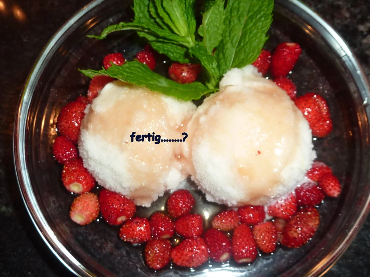 Holunderblüten Sorbet mit Walderdbeeren - Rezept - Bild Nr. 110