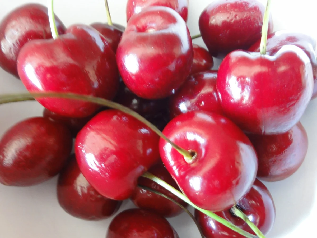 Rezept: M&G: SAUERKIRSCH Fruchtaufstrich Bild Nr. 102 M&G: SAUERKIRSCH Fruchtaufstrich - Rezept - Bild Nr. 102