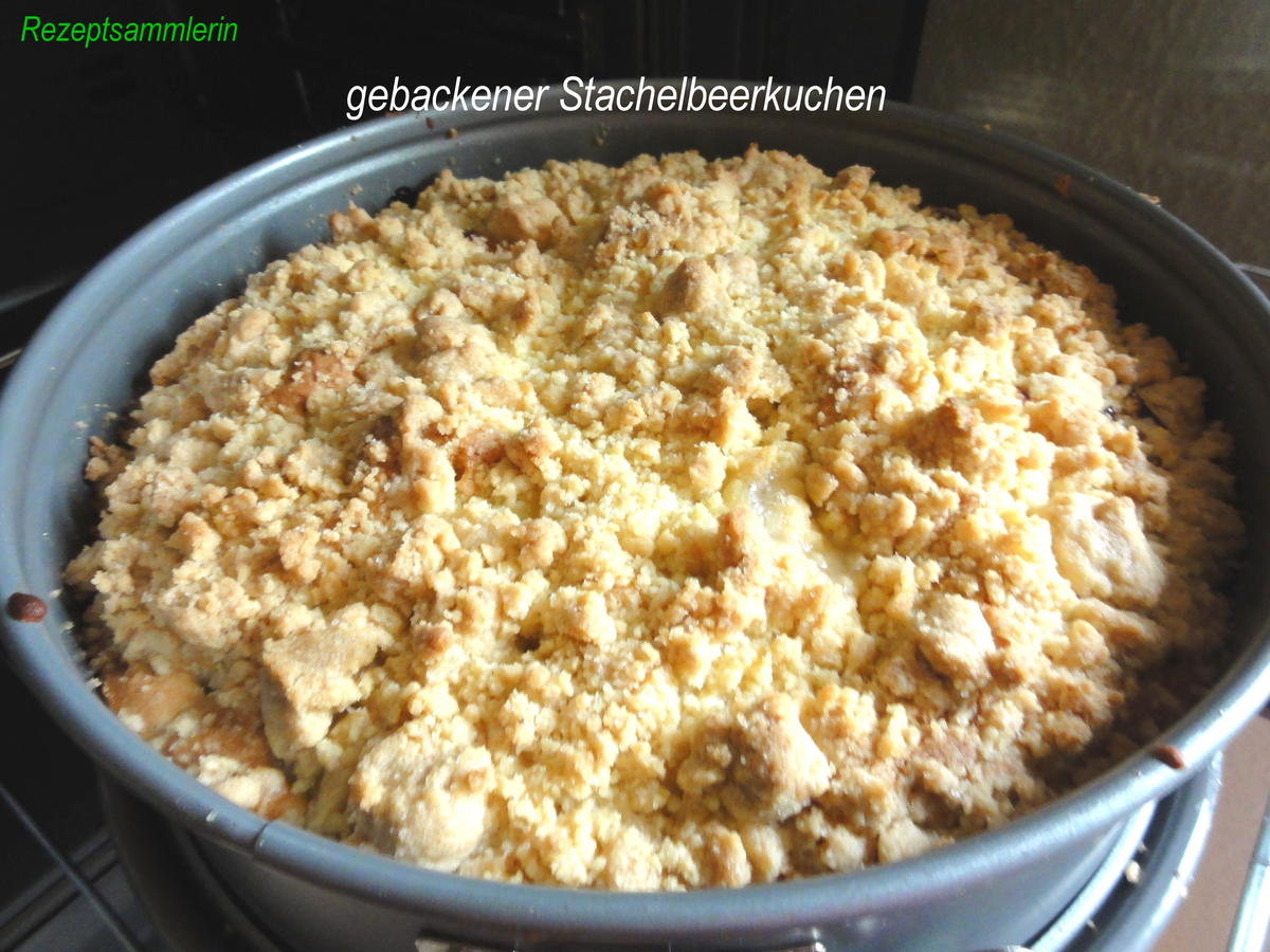 Rührteig:   STACHELBEER - Streuselkuchen - Rezept - Bild Nr. 7