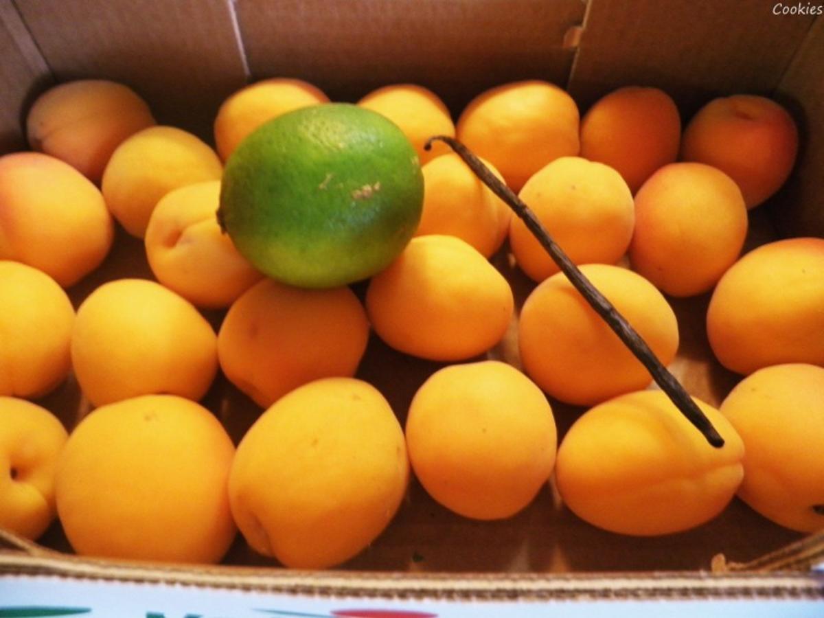 Aprikosen Limetten Vanille Konfitüre - einfach - von Cookies