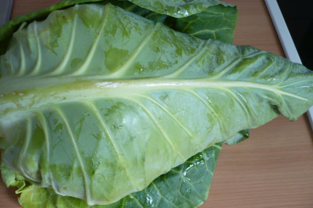 Spitzkohl - Salat - Rezept - Bild Nr. 2