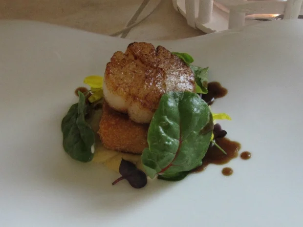 Surf and Turf / Kalbskopf / Jakobsmuschel / roter Mangold / Selleriecreme - Rezept