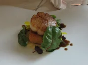 Surf and Turf / Kalbskopf / Jakobsmuschel / roter Mangold / Selleriecreme - Rezept