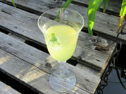 Schlüsselblumenwein aus Babsi’s Bauerngarten - Rezept
