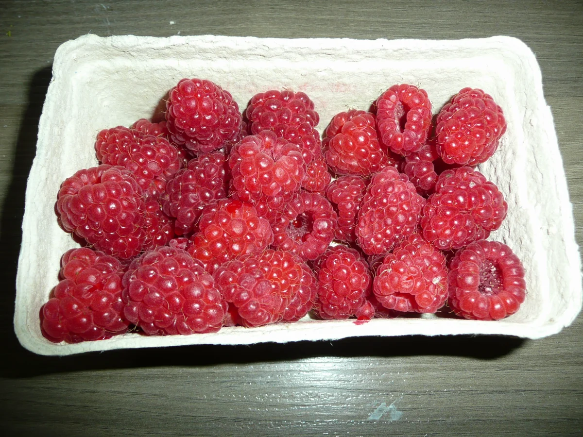 Himbeer - Küchlein oder Dessert. - Rezept - Bild Nr. 3