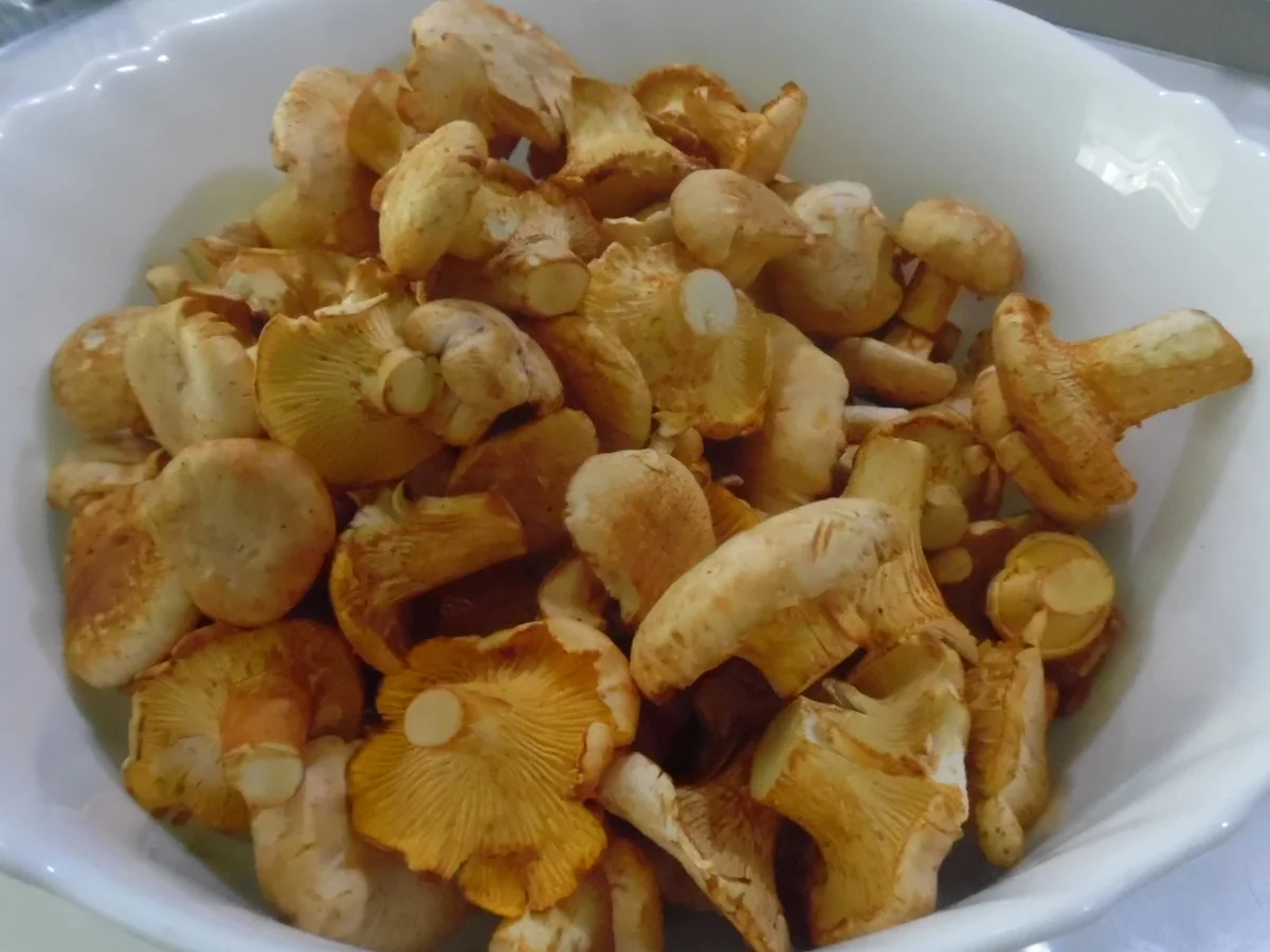 Rezept: Orecchiette mit Rahm-Pfifferlingen und Hähnchenbrustfilet Bild Nr. 11 Orecchiette mit Rahm-Pfifferlingen und Hähnchenbrustfilet - Rezept - Bild Nr. 11