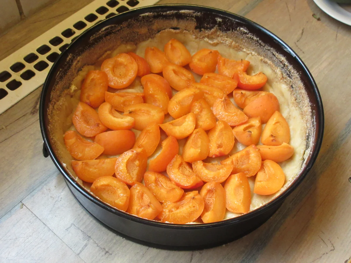 Marillentorte mit Mürbteig - Rezept - Bild Nr. 5