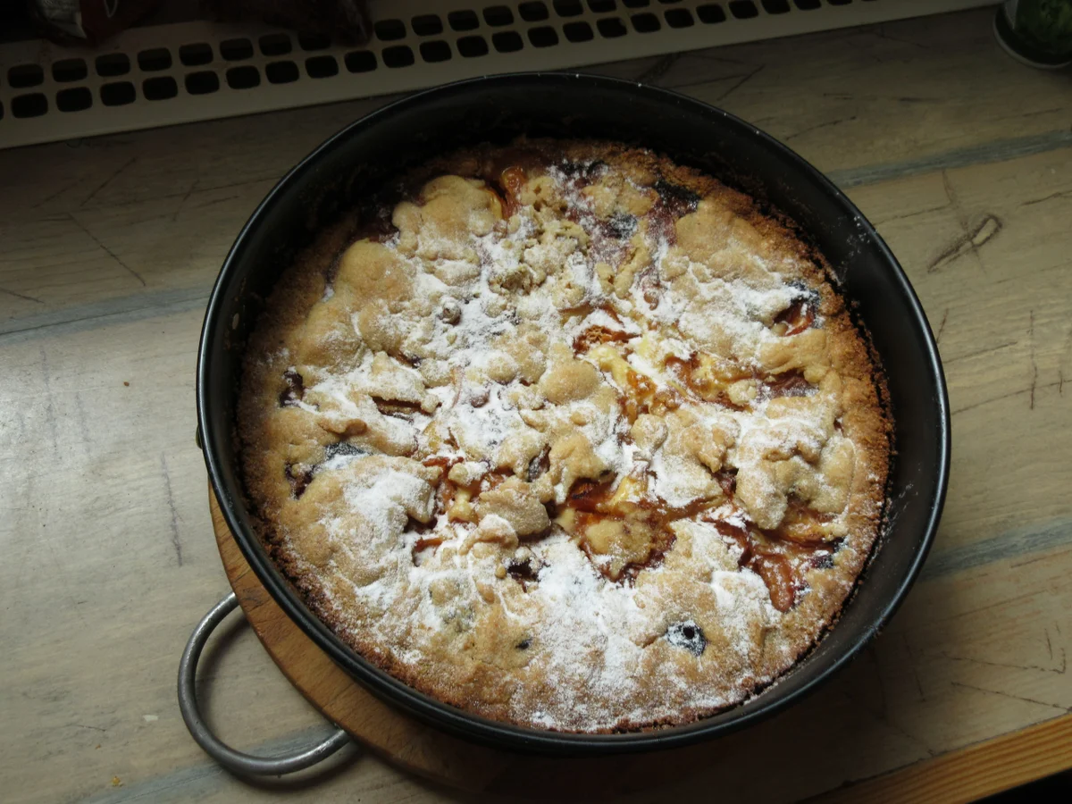 Marillentorte mit Mürbteig - Rezept - Bild Nr. 55