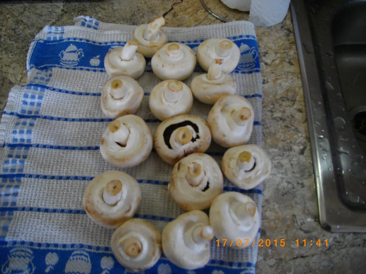 Gefüllte Champignons - Rezept