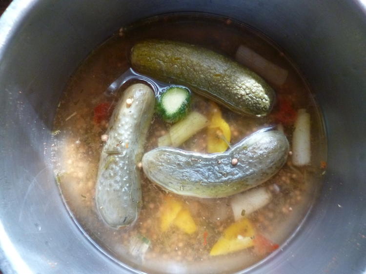 Eingemachte Saure Gurken mit Paprika und Chili - einfach - von Kochecke48