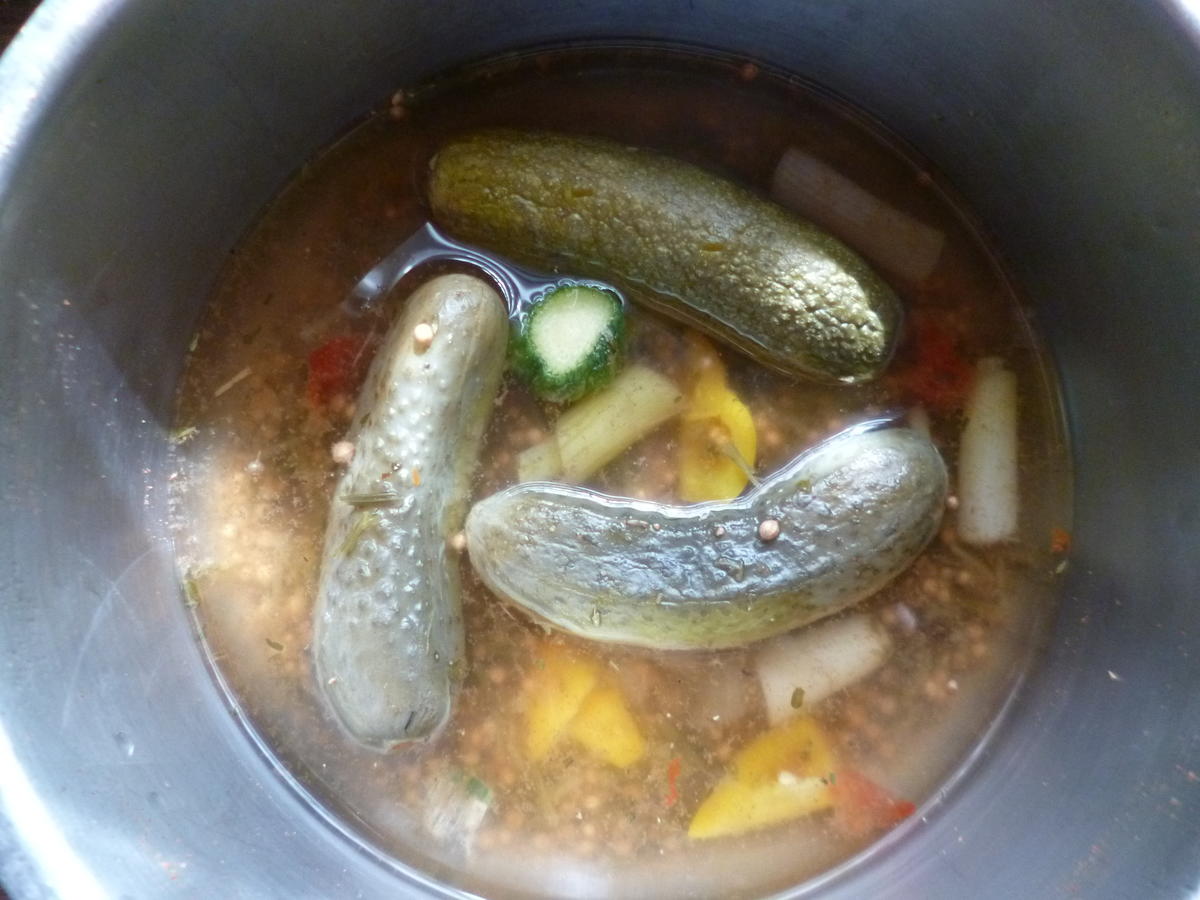 Eingemachte Saure Gurken mit Paprika und Chili - einfach - von Kochecke48