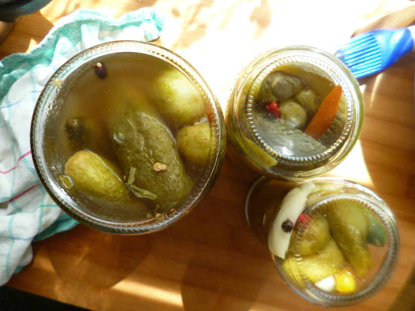 Eingemachte Saure Gurken mit Paprika und Chili - einfach - von Kochecke48