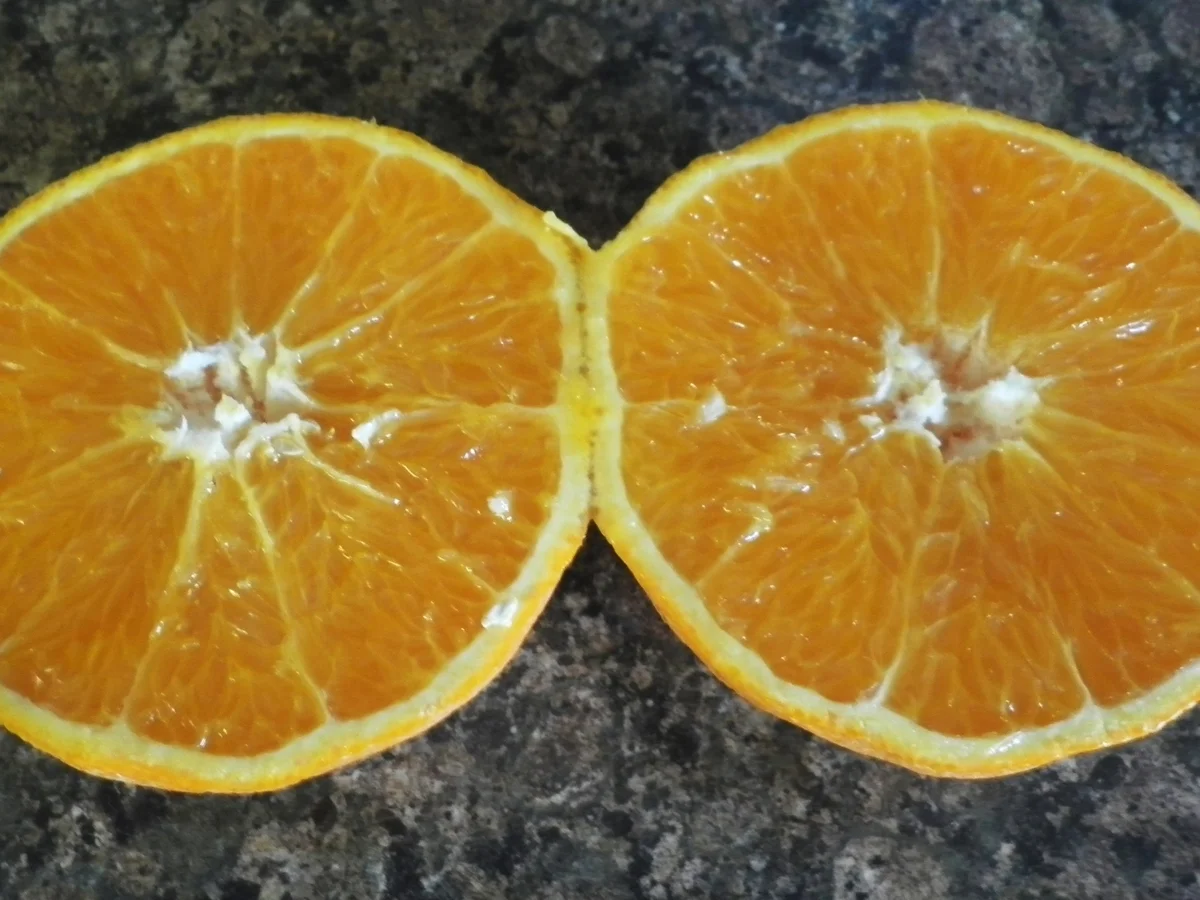 Rezept: Campari - Orangen - Eis ... mit Blätterteig - Schmetterlingen Bild Nr. 129 Campari - Orangen - Eis ... mit Blätterteig - Schmetterlingen - Rezept - Bild Nr. 129