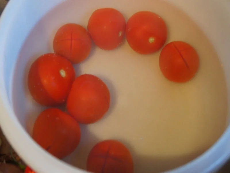 Wachteleieromelett mit herzhaften Tomaten - Rezept - Bild Nr. 59