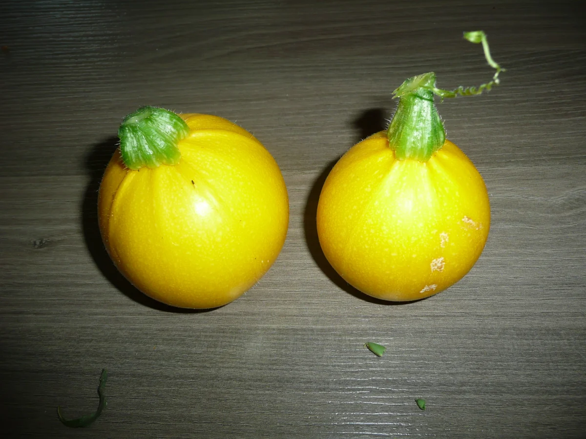 Rezept: Gefüllte Zucchini, an Zuckermais, Minz -Dipp und Putenstreifen. Bild Nr. 61 Gefüllte Zucchini, an Zuckermais, Minz -Dipp und Putenstreifen. - Rezept - Bild Nr. 61