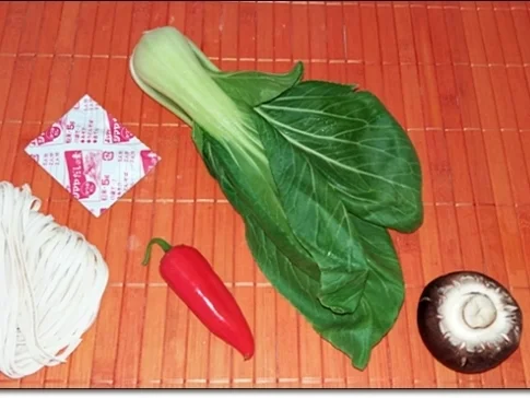 Japanische Nudelsuppe mit Hähnchen - Rezept - Bild Nr. 76