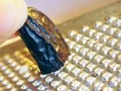 Apfel-Kartoffel Marmelade mit Tonkabohne und Rum - Rezept - Bild Nr. 150