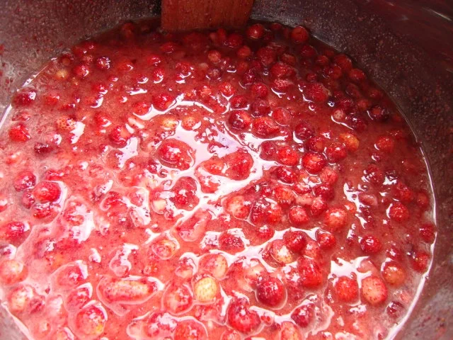 Walderdbeerenmarmelade - klassisch - Rezept - Bild Nr. 147