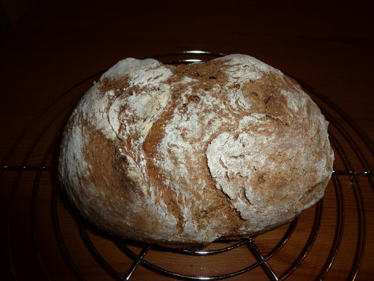 Roggen-Malz-Brot - Rezept - Bild Nr. 96