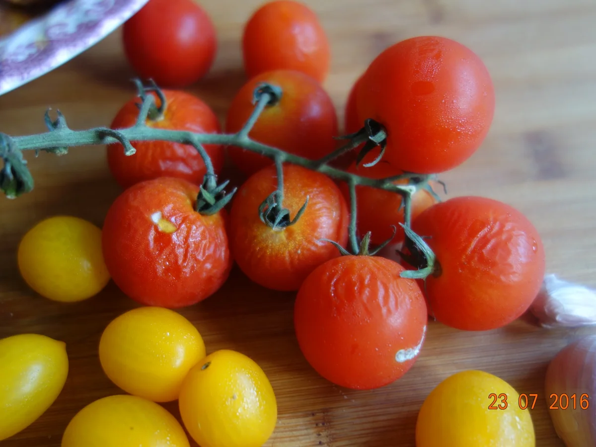 Rezept: Kudlmudl Bild Nr. 93 Kudlmudl - Rezept - Bild Nr. 93