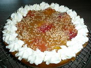 Nektarinen - Pudding - Kuchen. - Rezept - Bild Nr. 129