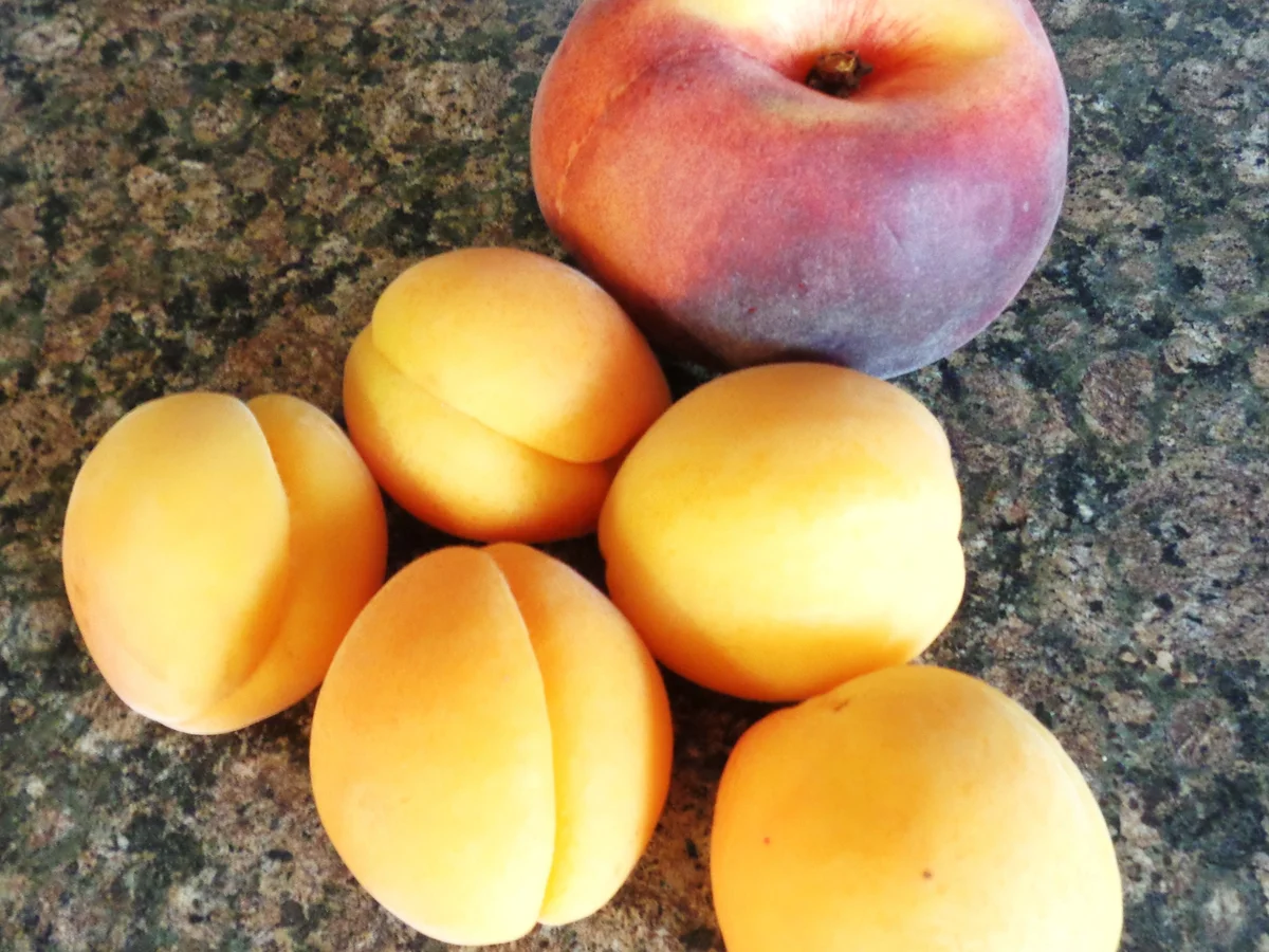 Aprikose - Pfirsich - Lavendel - Konfitüre ... oder das, was weg musste ... ;-) - Rezept - Bild Nr. 130