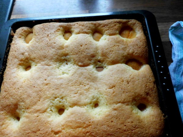Aprikosenkuchen mit sahne-schmandcreme