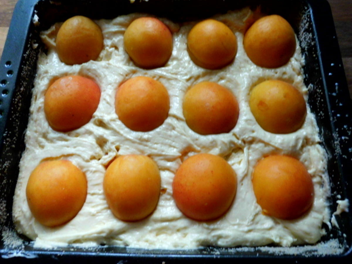 aprikosenkuchen - Rezept - Bild Nr. 141
