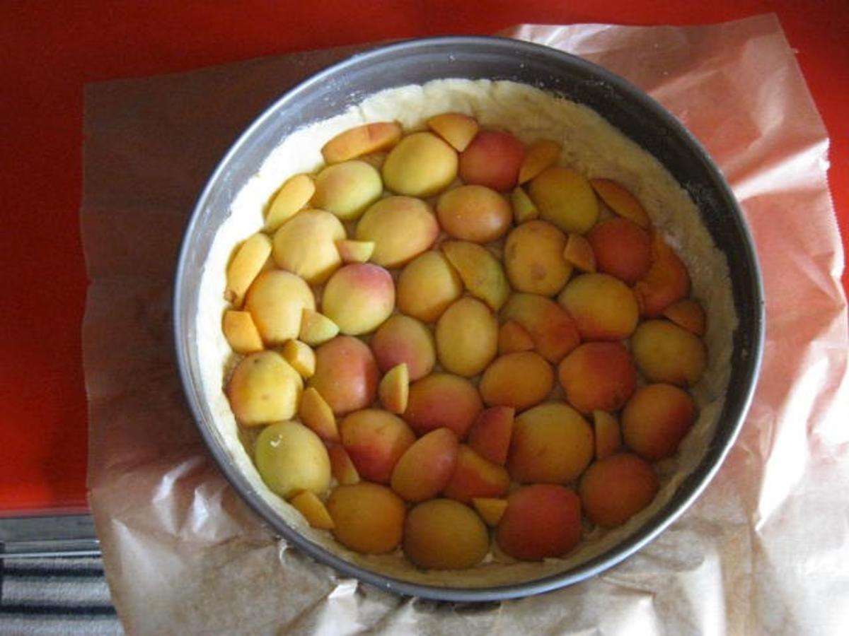 Aprikosenkuchen mit Nusshaube - Rezept - Bild Nr. 150