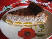 Aprikosenkuchen mit Nusshaube - Rezept - Bild Nr. 153