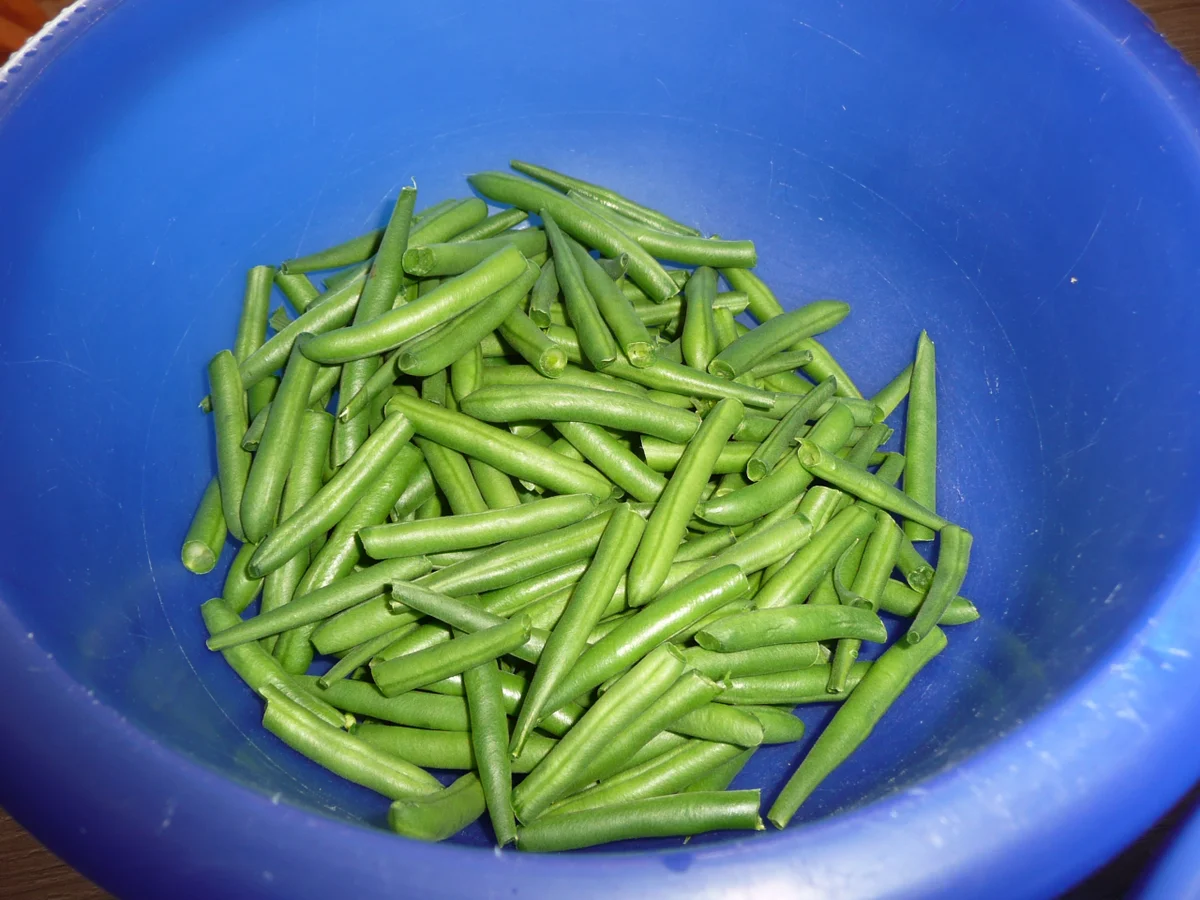 Frikadellen mit Spiegelei zu Speckbohnen + Kartoffelpüree. - Rezept - Bild Nr. 134