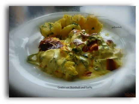 Gratin von Steinbutt und Lachs - Rezept - Bild Nr. 130