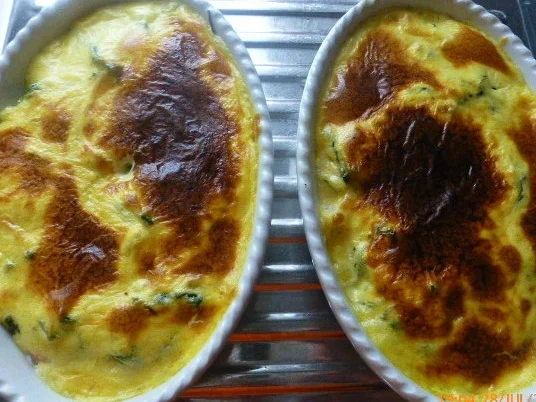 Gratin von Steinbutt und Lachs - Rezept - Bild Nr. 136