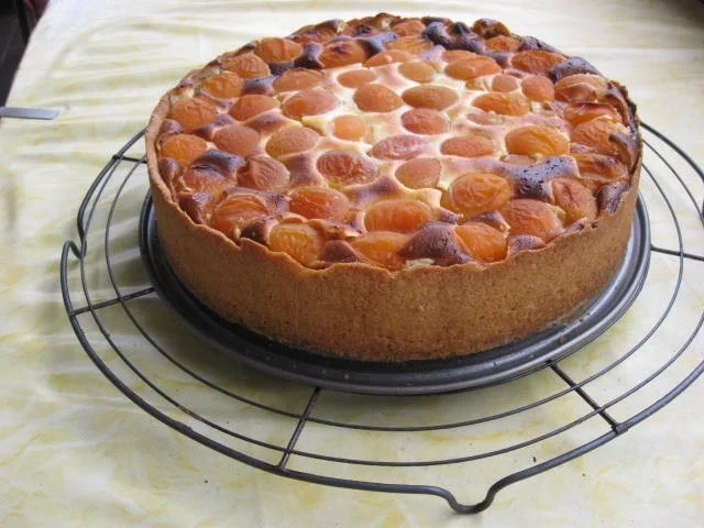 Aprikosen Käsekuchen - Rezept - Bild Nr. 149