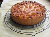 Rezept: Aprikosen Kรคsekuchen Bild Nr. 149 Aprikosen Kรคsekuchen - Rezept - Bild Nr. 149