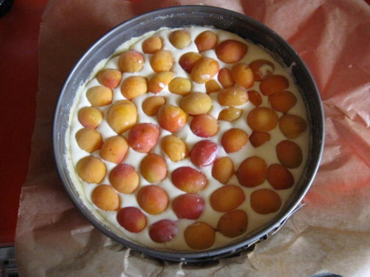 Aprikosen Käsekuchen - Rezept - Bild Nr. 160