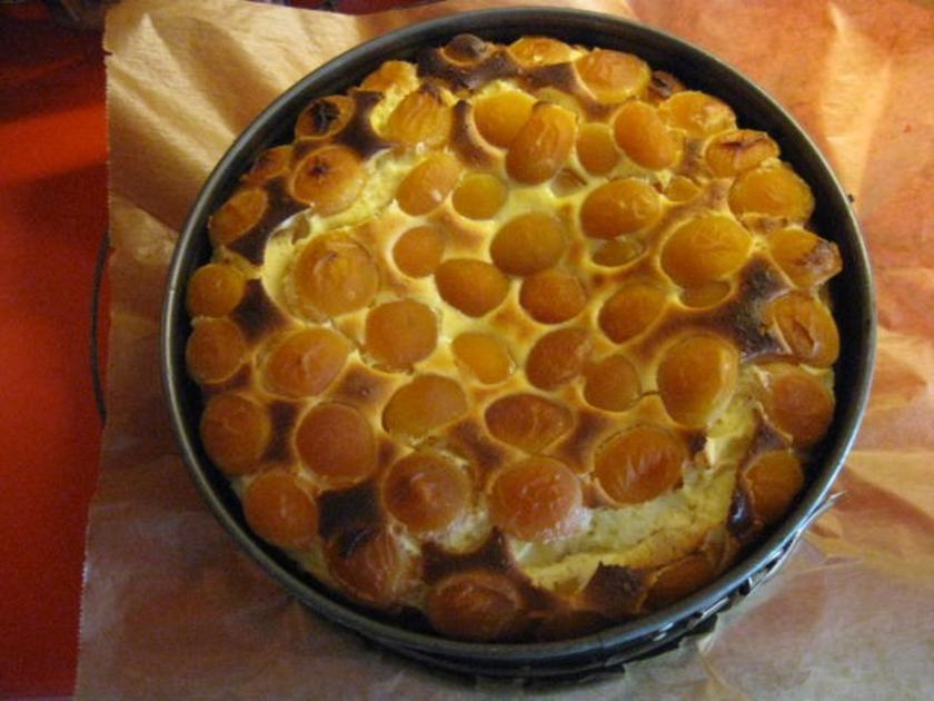 Aprikosen Käsekuchen - Rezept mit Bild - kochbar.de