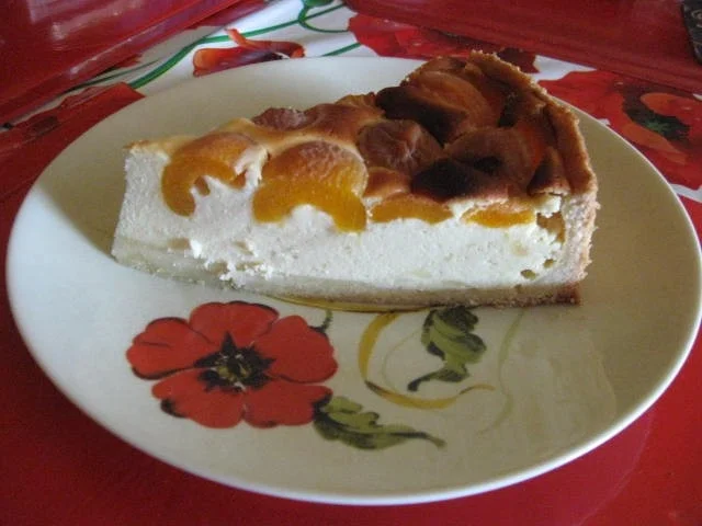 Aprikosen Käsekuchen - Rezept - Bild Nr. 162