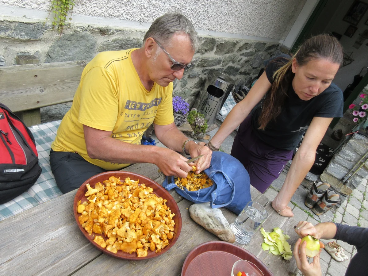 Eierschwammerl aus der Pfanne - Rezept - Bild Nr. 2