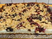 Kleckselkuchen Nr. 2 - Rezept - Bild Nr. 171