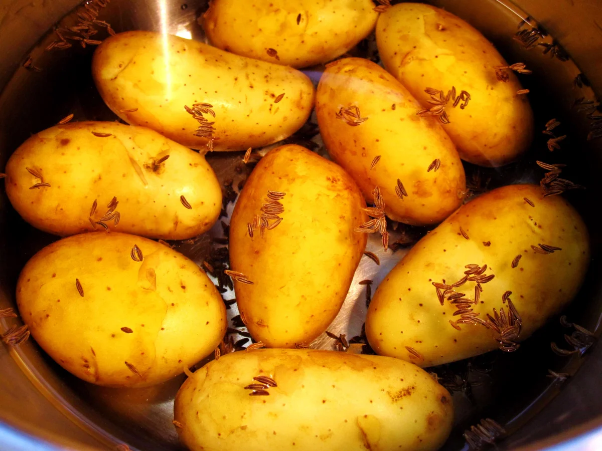 Rezept: Kartoffelsalat - Beilage zum Grillfleisch Bild Nr. 203 Kartoffelsalat - Beilage zum Grillfleisch - Rezept - Bild Nr. 203