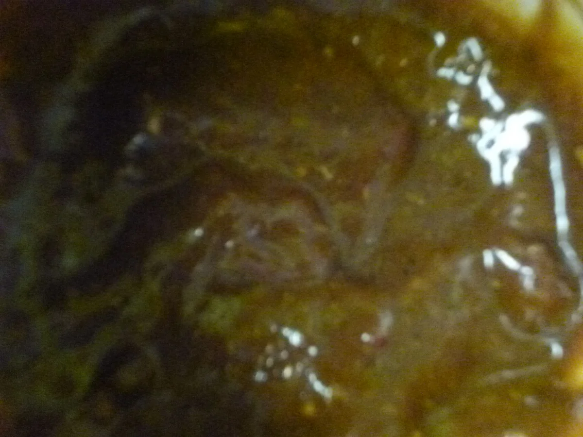 Rote Burgersauce für Hamburger und Hot Dogs - Rezept - Bild Nr. 223