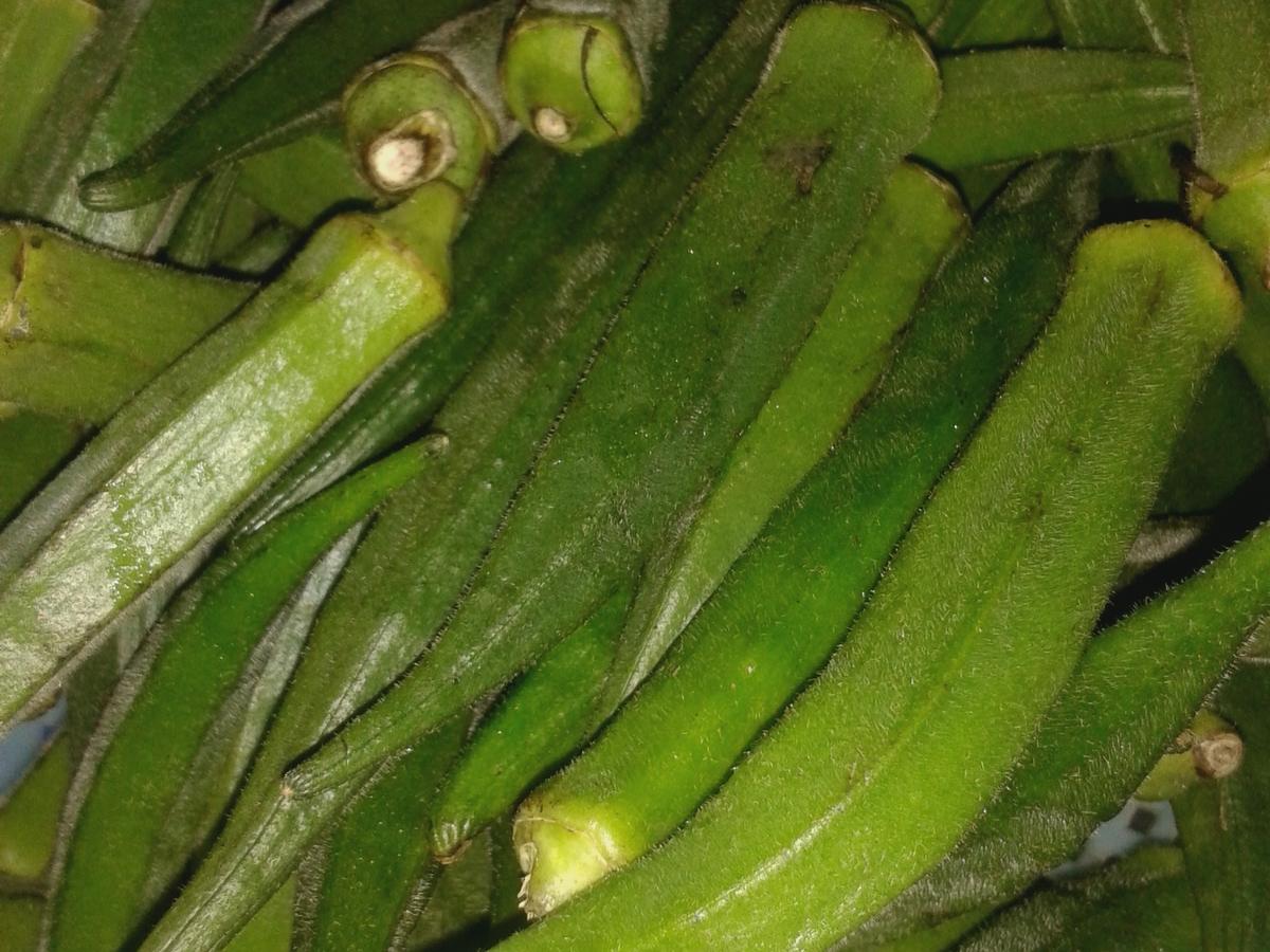 Okra - Gemüse, Bhindi Sabji, org. indisch